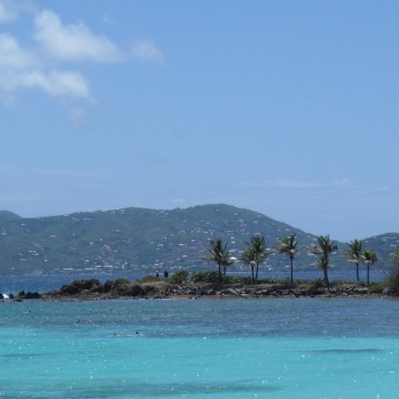 Meet your Posher, Ann - Picture 4 of 16